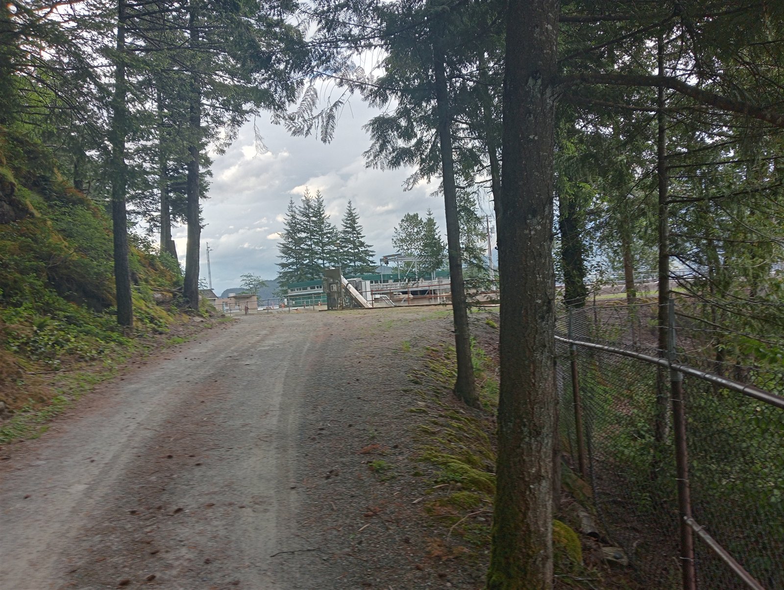 Forested access to Area 4
